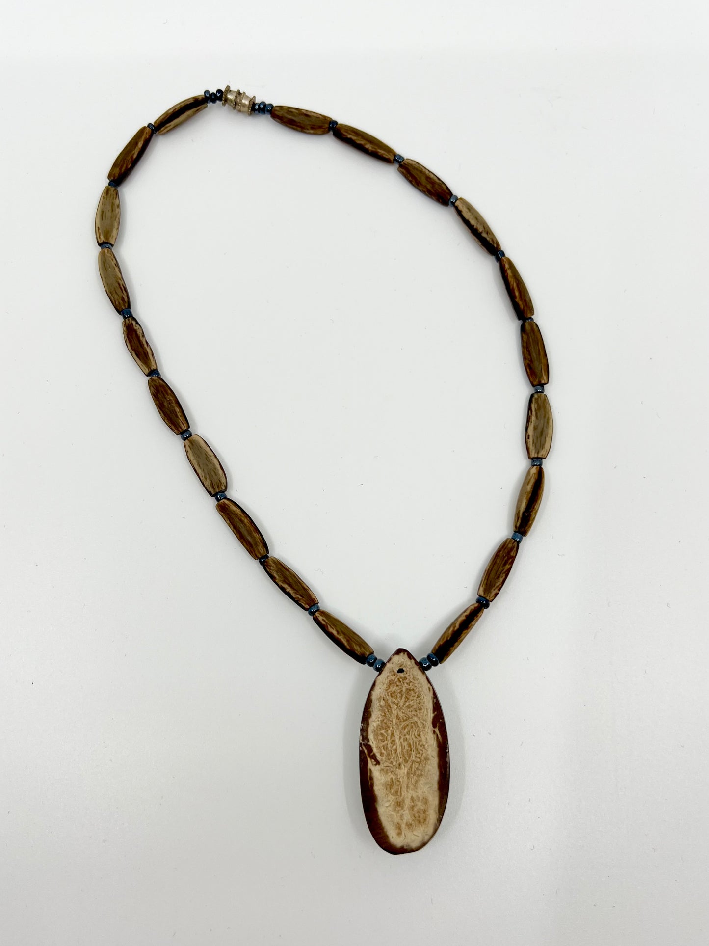 Preserved Chiton and Nut Necklace