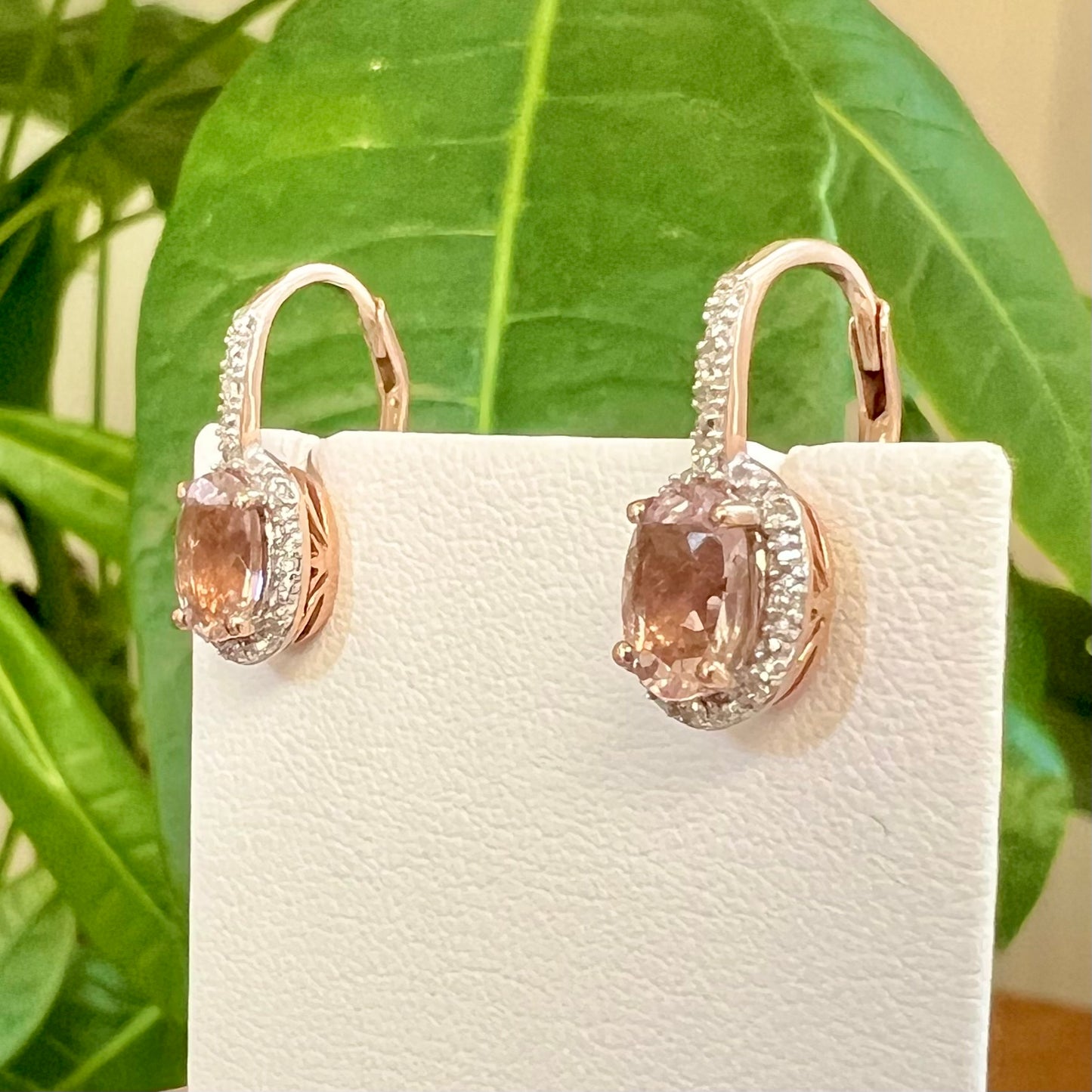 Morganite Earrings