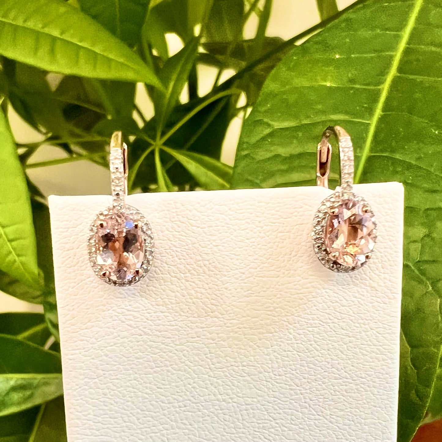 Morganite Earrings